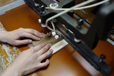 �v�E�l���P�����s�Ȃ��G���{�X���